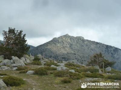 La Peñota y Peña del Arcipreste;grupos de senderismo en madrid;club de senderismo madrid